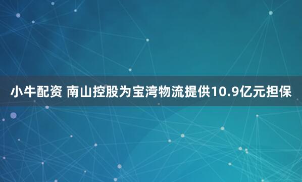 小牛配资 南山控股为宝湾物流提供10.9亿元担保