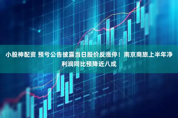 小股神配资 预亏公告披露当日股价反涨停！南京商旅上半年净利润同比预降近八成