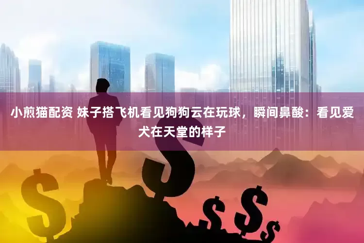 小煎猫配资 妹子搭飞机看见狗狗云在玩球，瞬间鼻酸：看见爱犬在天堂的样子