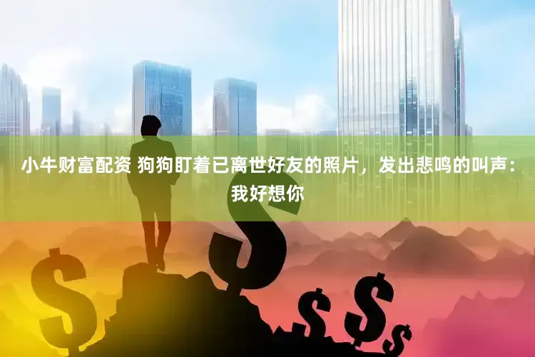 小牛财富配资 狗狗盯着已离世好友的照片，发出悲鸣的叫声：我好想你