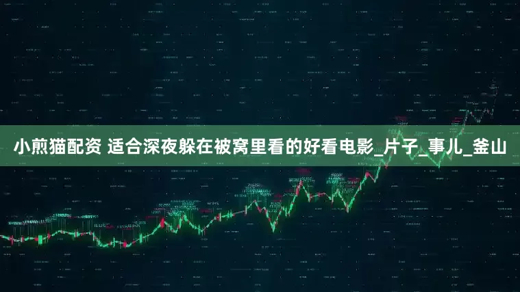 小煎猫配资 适合深夜躲在被窝里看的好看电影_片子_事儿_釜山