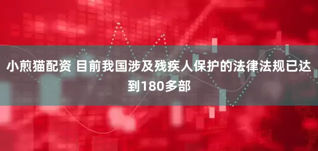 小煎猫配资 目前我国涉及残疾人保护的法律法规已达到180多部