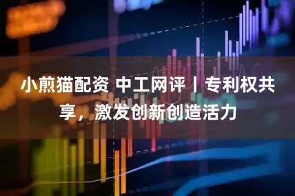 小煎猫配资 中工网评丨专利权共享，激发创新创造活力