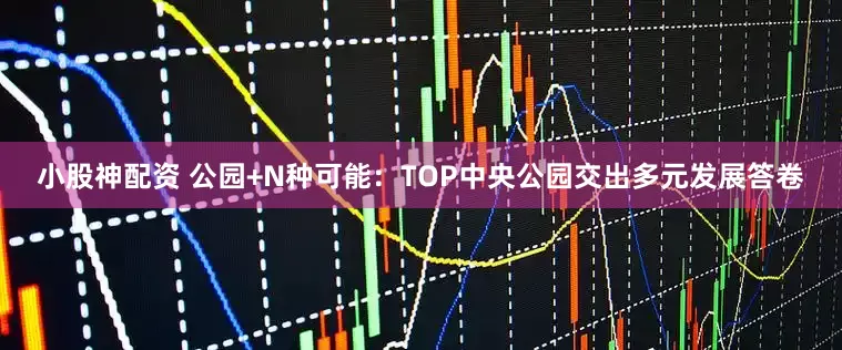 小股神配资 公园+N种可能：TOP中央公园交出多元发展答卷