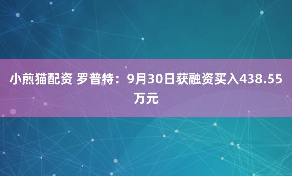 小煎猫配资 罗普特:9月30日获融资买入438.55万元