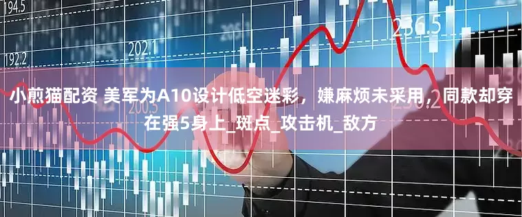 小煎猫配资 美军为A10设计低空迷彩，嫌麻烦未采用，同款却穿在强5身上_斑点_攻击机_敌方