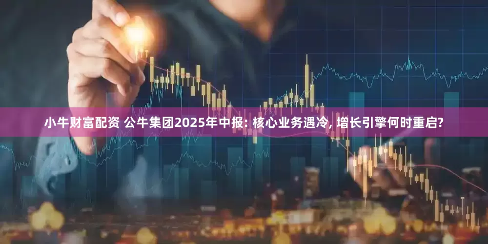 小牛财富配资 公牛集团2025年中报: 核心业务遇冷, 增长引擎何时重启?