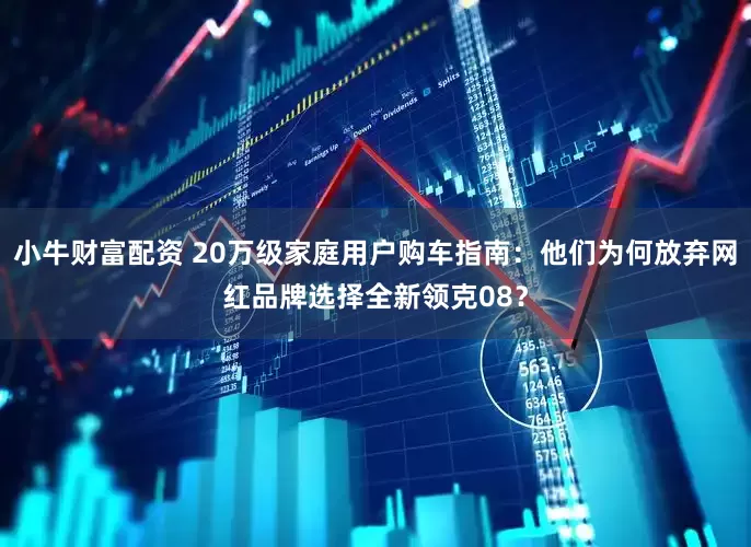 小牛财富配资 20万级家庭用户购车指南:他们为何放弃网红品牌选择全新领克08?