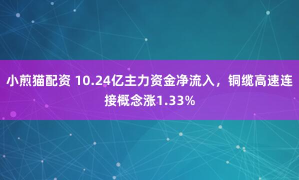 小煎猫配资 10.24亿主力资金净流入,铜缆高速连接概念涨1.33%