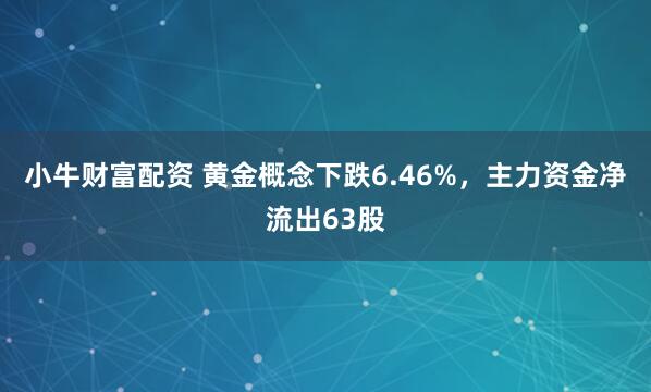 小牛财富配资 黄金概念下跌6.46%,主力资金净流出63股
